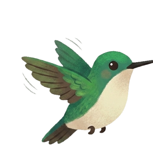 Alay, el picaflor de Arica, en pleno vuelo.